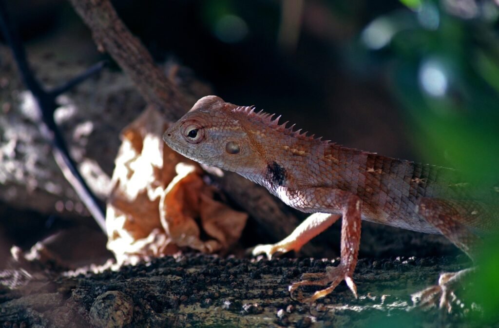 emma wedekind’s journey to programming: from java to react