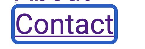 A screenshot of the default focus indicator in Google Chrome. It