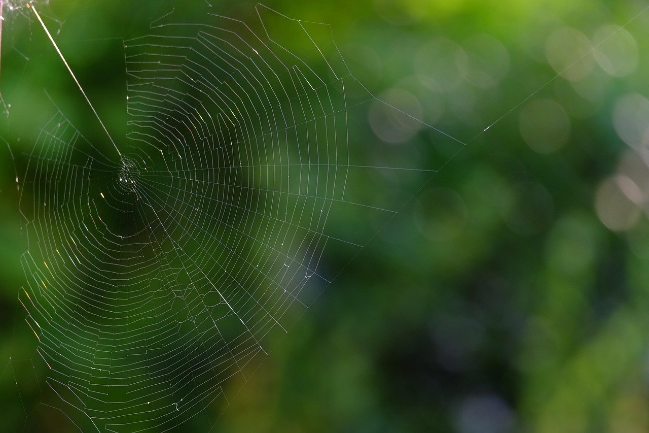 8 Ways to Minimize Main Thread Work to Improve Core Web Vitals ...