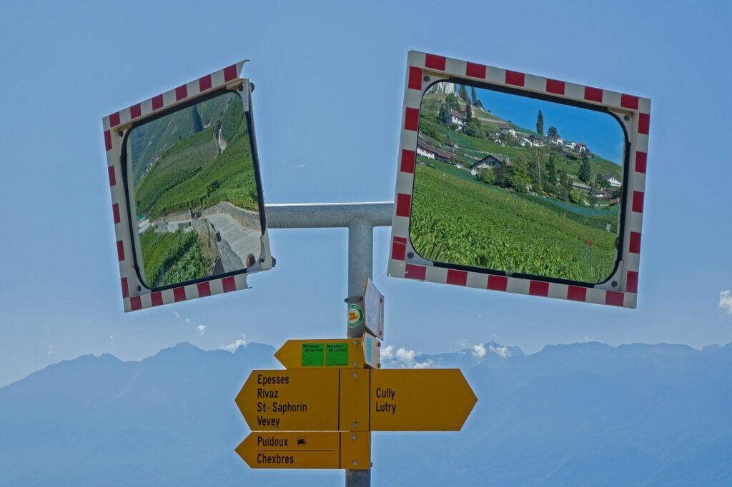 beginner’s guide to svelte and sveltekit