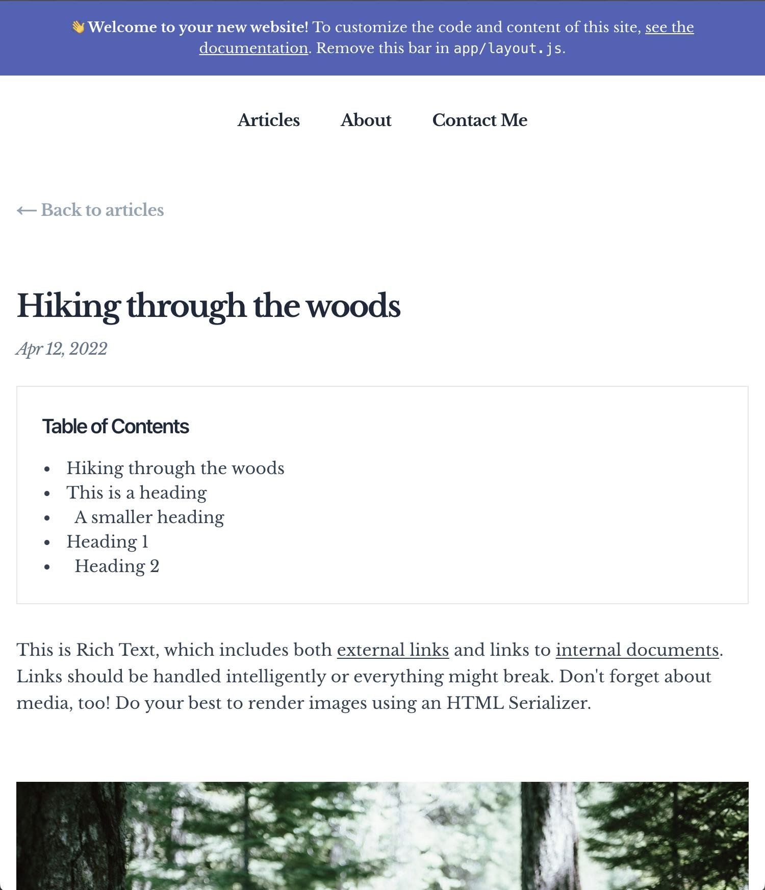An image of our table of contents.
