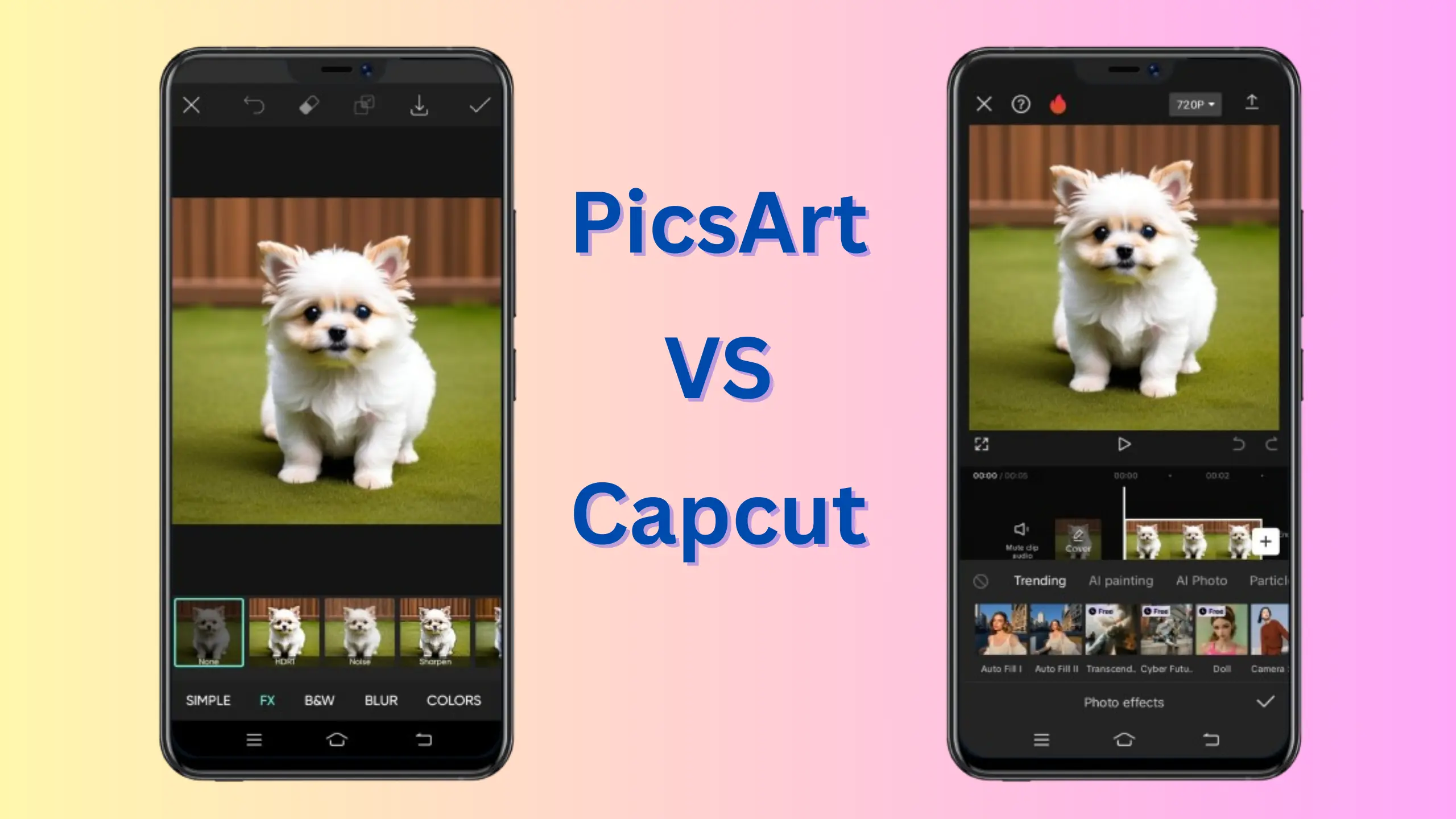 PicsArt vs Capcut Filters and effects