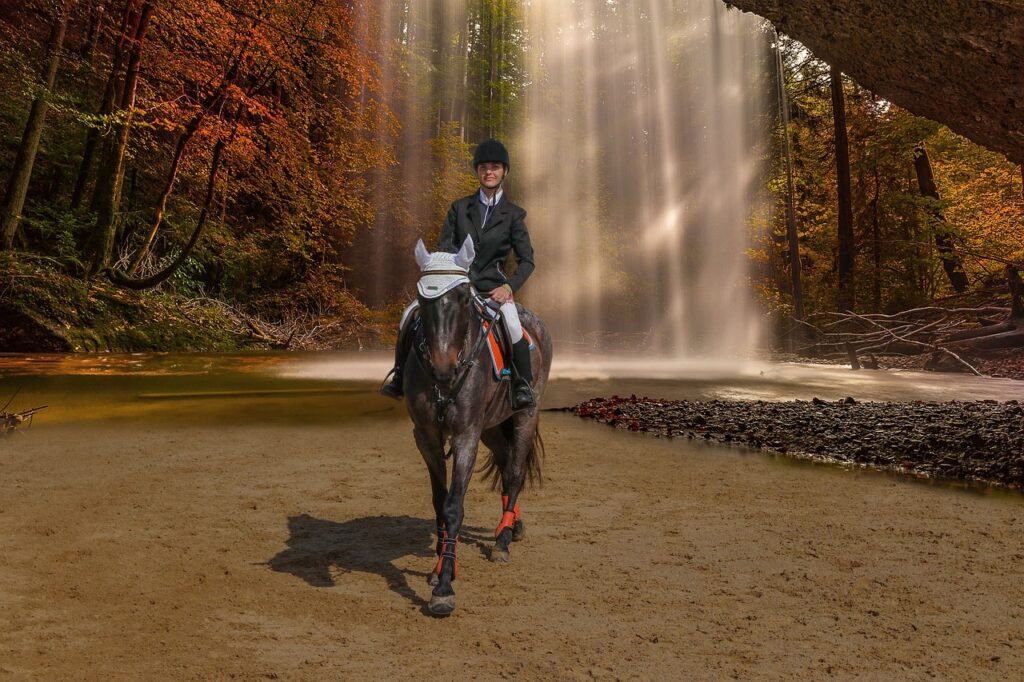 understanding shopify cms: pros, cons, and when to pair with a headless cms